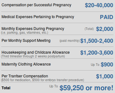 payment amounts
