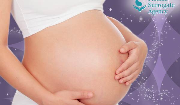 apply to be a surrogate mother