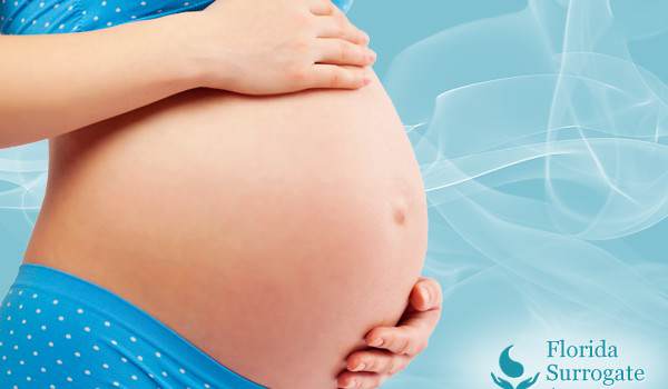 definition of surrogate mother