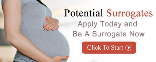Become A Surrogate Today | Apply Now! Surrogate Qualifications in Tallahassee FL, Surrogate Qualifications Tallahassee FL, Tallahassee FL Surrogate Qualifications, Surrogate Qualifications, Surrogate, Surrogate Agency, Surrogacy