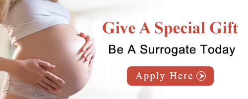 Become A Surrogate Today | Apply Now! Surrogate Mother Pay in Tallahassee FL, Surrogate Mother Pay Tallahassee FL, Surrogate Pay Tallahassee FL, Surrogate Compensation Tallahassee FL, Surrogate Mother Pay, Surrogate Compensation, Surrogate Pay, Surrogates